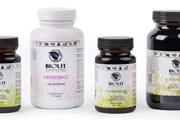 Protokół jodowy – informacje dla początkujących